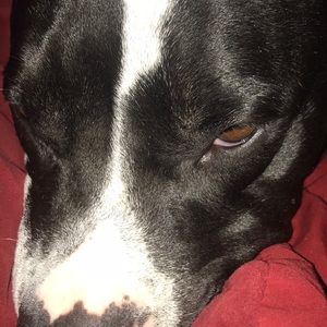 Meet your Posher, Kyliana